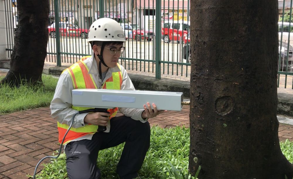 How do you Inspect a Tree?